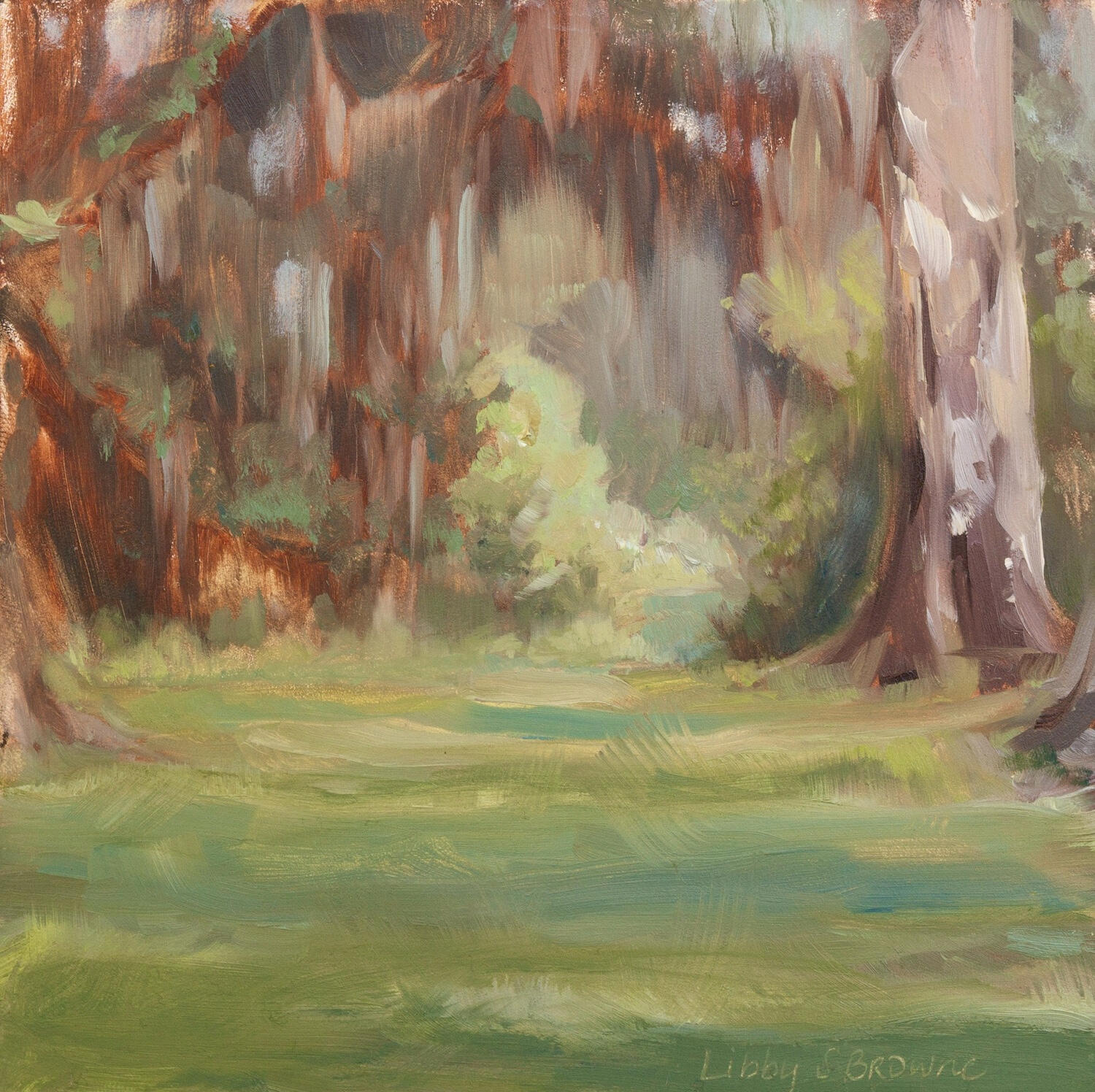 Through the Oaks_Oil Painting_Libby Browne An oil painting of oak trees and a meadow clearing in North Florida by Libby Browne
